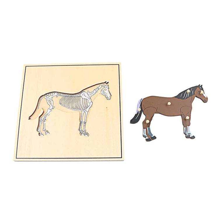 Children Educational Toys Montessori Materials Biology Wooden Skeleton Puzzle Frog Horse Tortiose Fish Bird Animal Toys for Boy